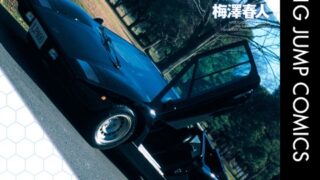 Thumbnail of post image 066